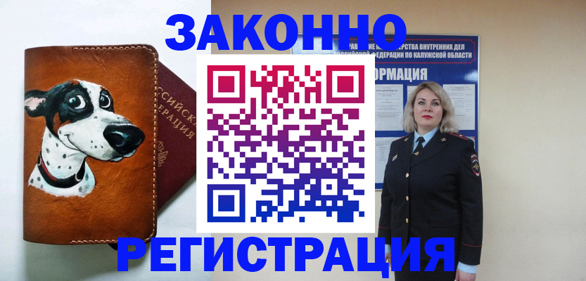 временная регистрация гарантия в Казани